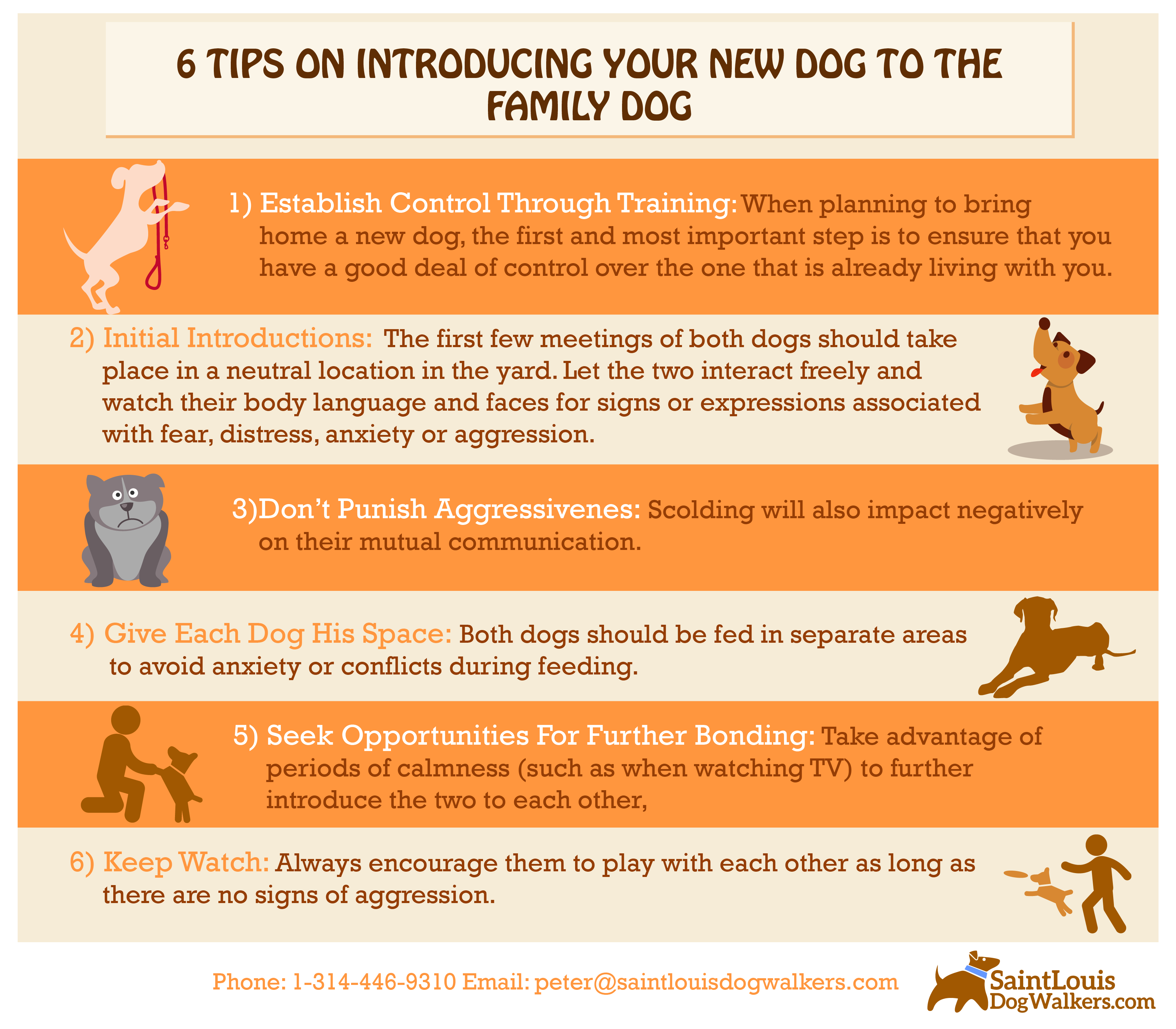 6 Tips on Introducing Your New Dog to the Family Dog - Saint Louis Dog Walkers