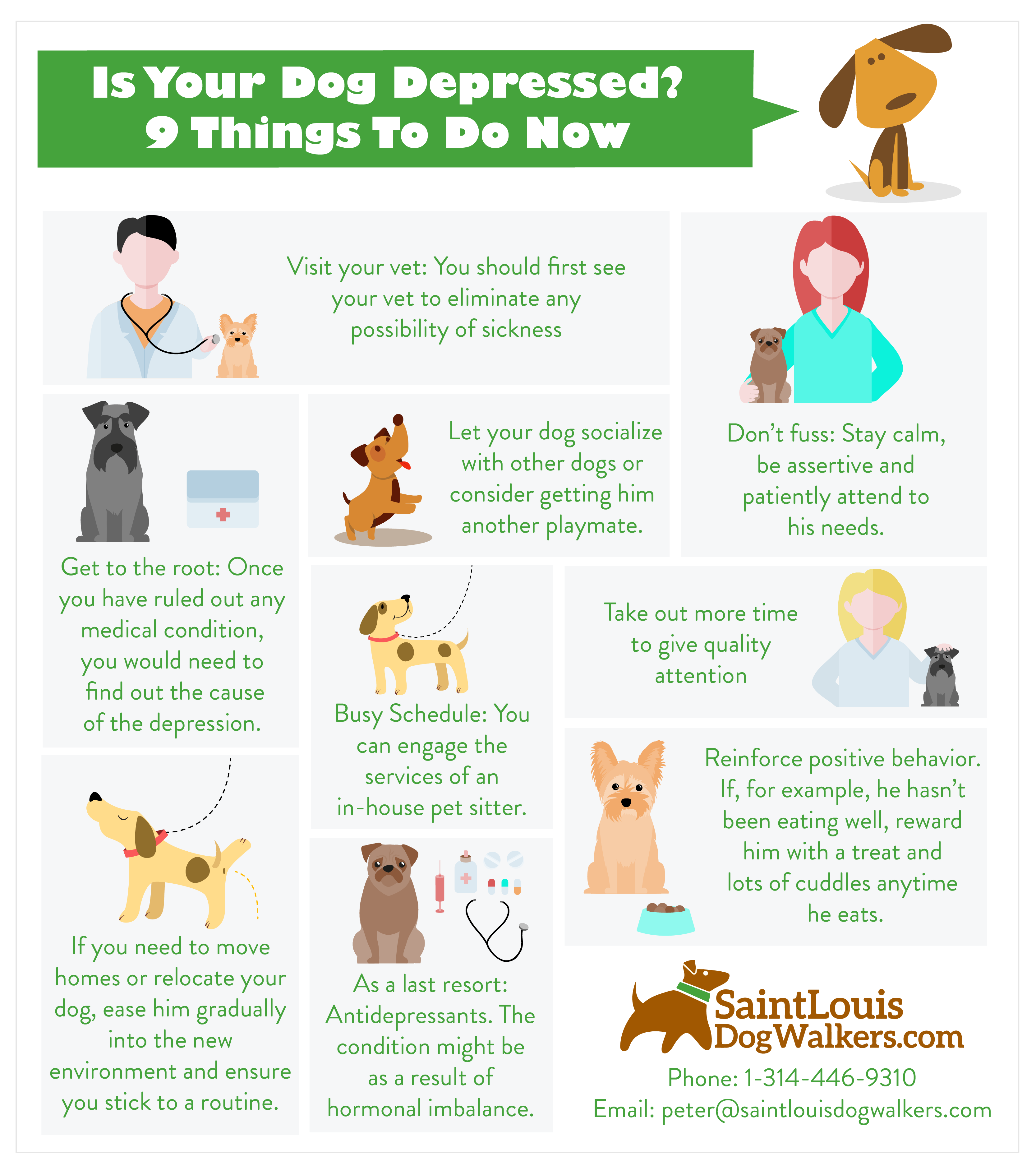 More About Pet Sitters Miami, Florida: Find Cat / Dog Sitting & Jobs