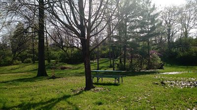 picnic table at the clayton dog park