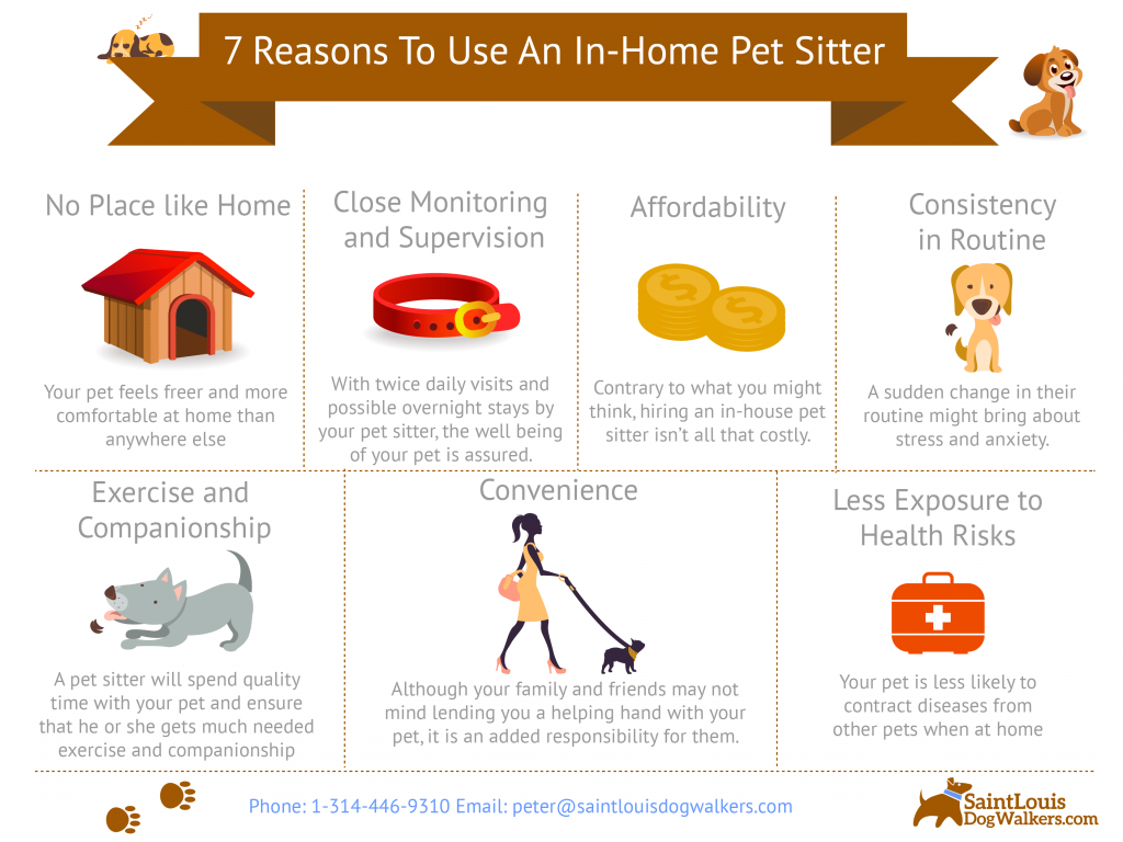 8 Reasons To Use An In-Home Pet Sitter - Saint Louis Dog Walkers