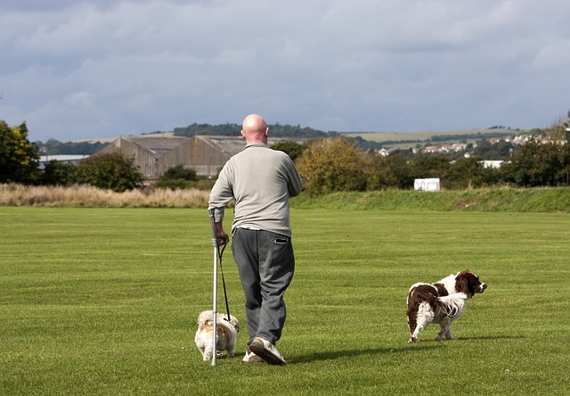 man walking 2 dogs