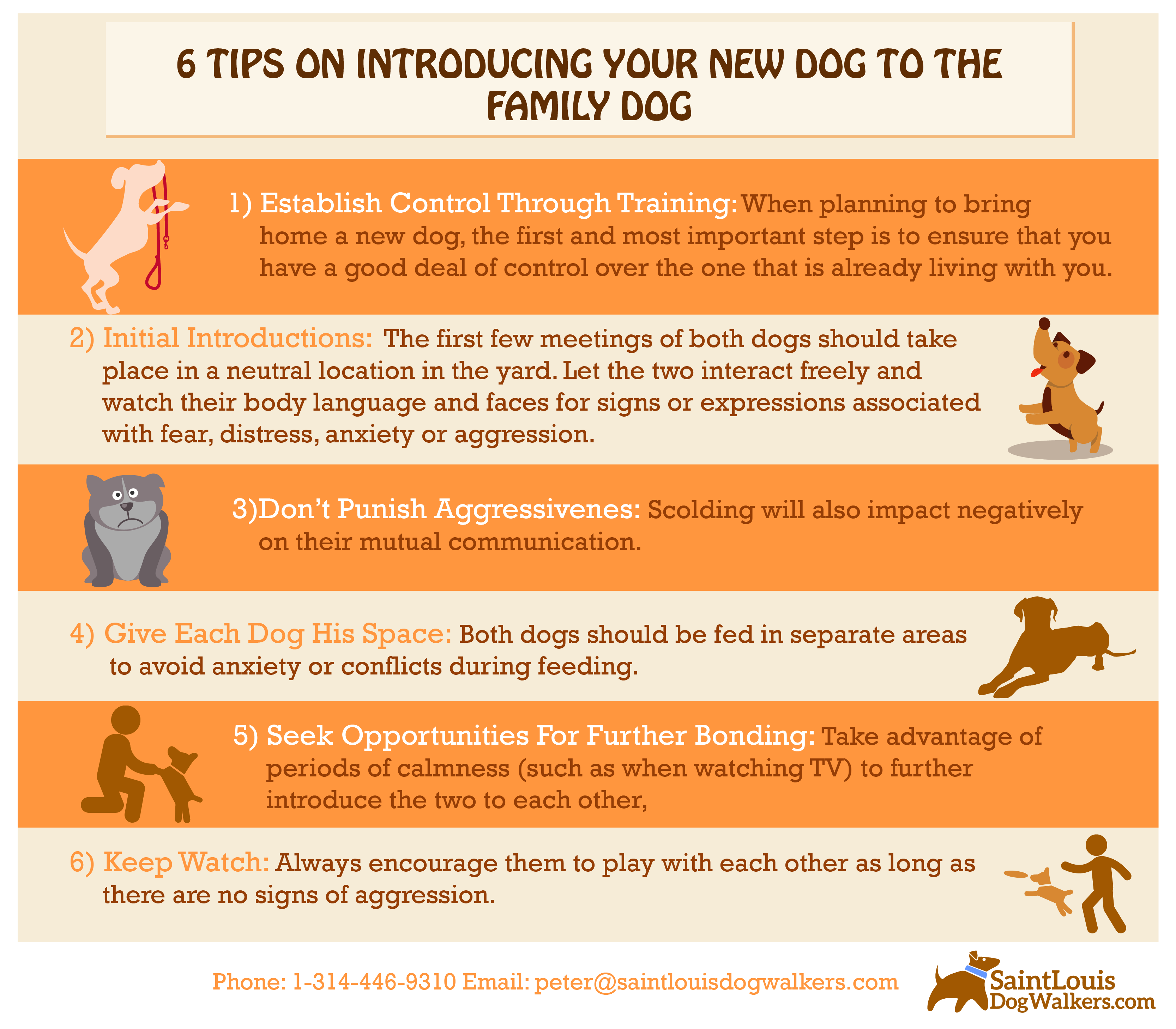 infographic with tips on how to introduce your new dog to your family dog